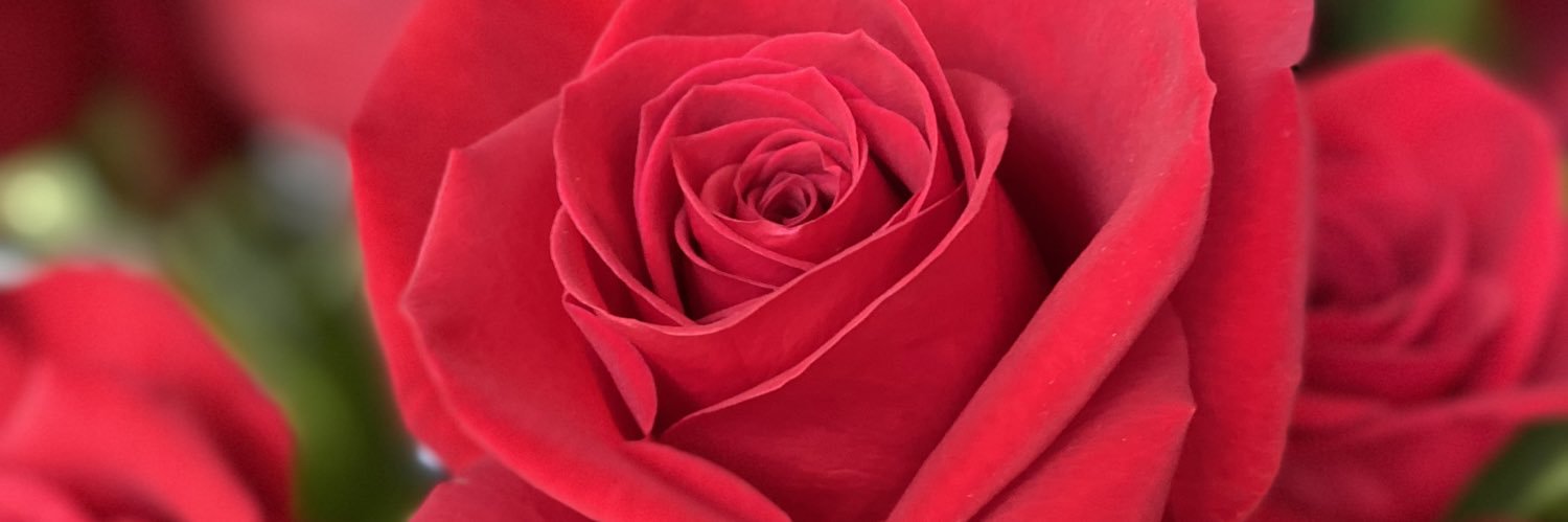 KaraRaee_'s profile banner image