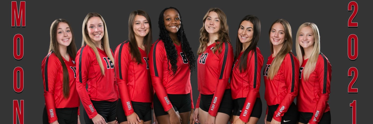 Moon Area Girls VB banner