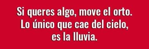 LulaPomponcito's profile banner image