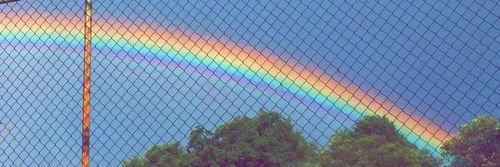 Larinha banner