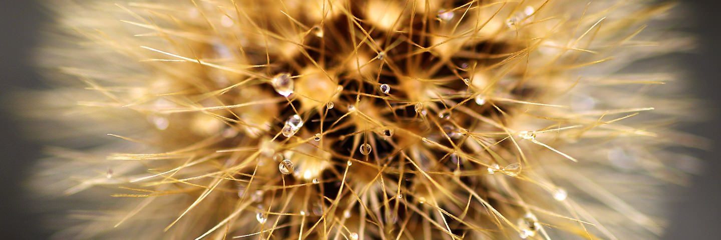 MoodStory's profile banner image
