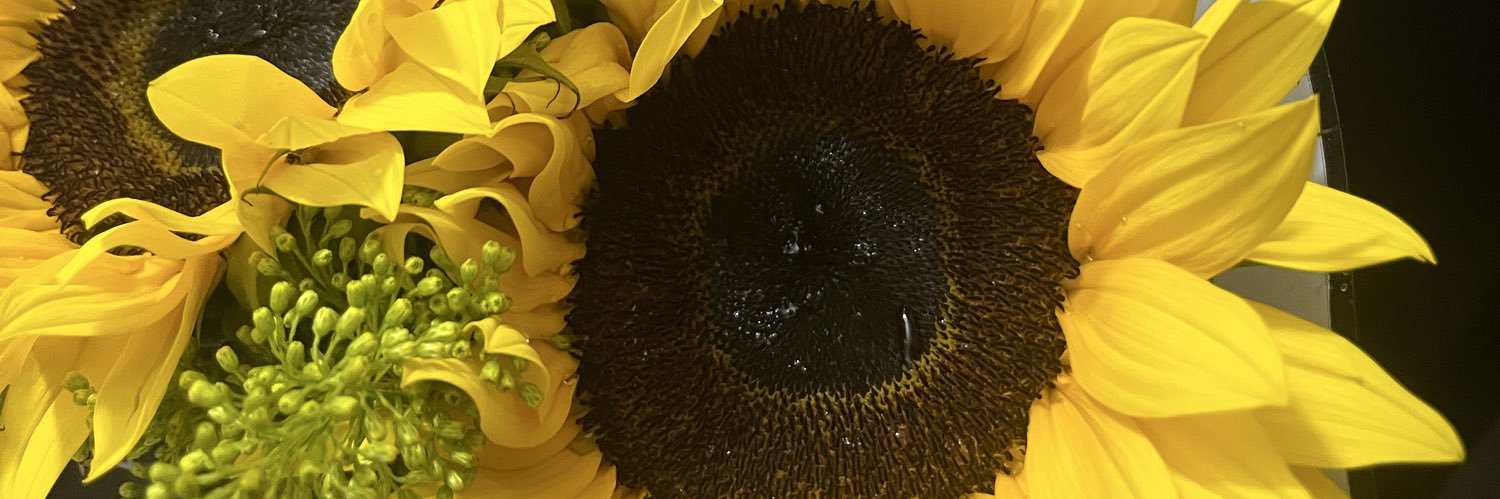 SMAC029's profile banner image