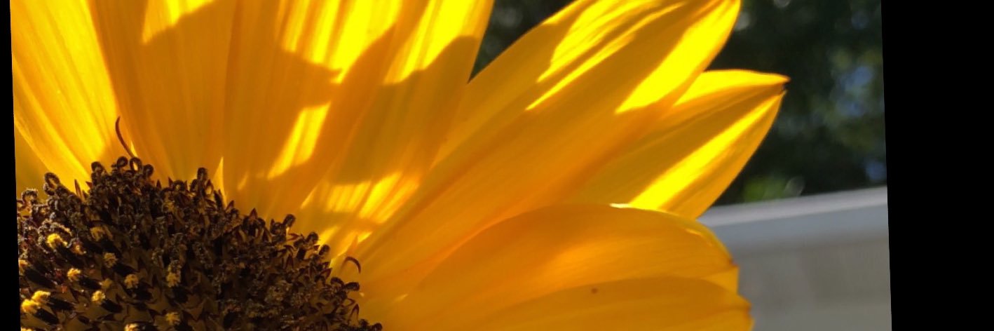 HaleyHamm4's profile banner image