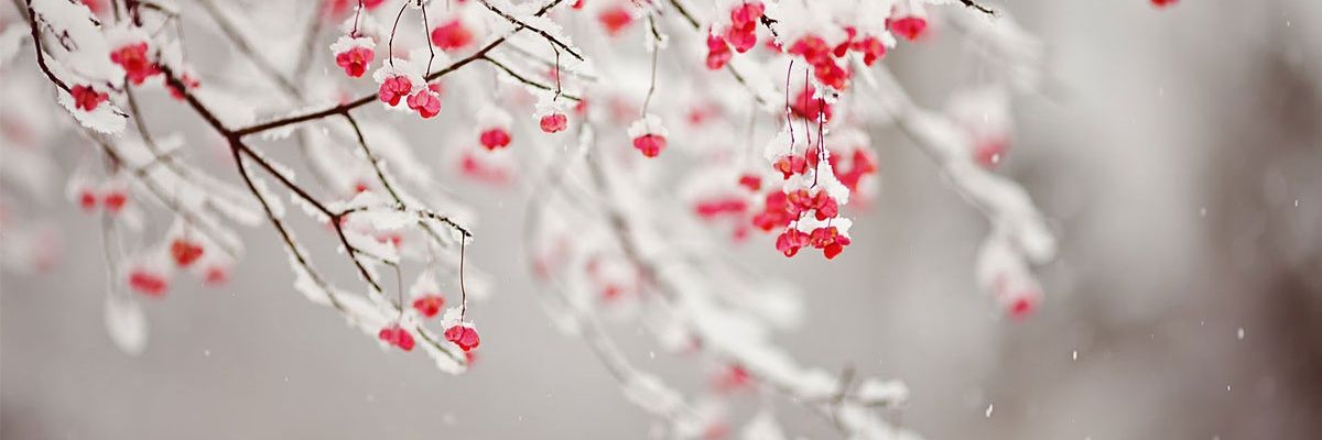 Heymirii's profile banner image
