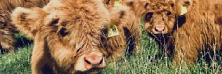 _Brileigh's profile banner image