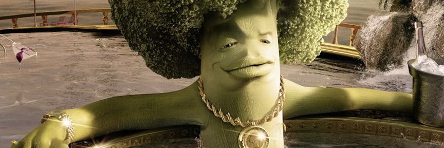 HibiscusJoe's profile banner image