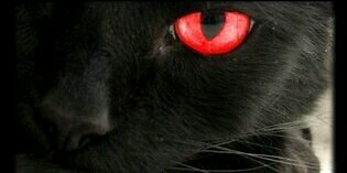 Kid_Ghost_007's profile banner image