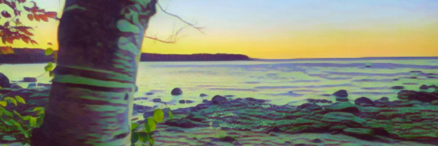 I'm_Mature 🇨🇦 🏴󠁧󠁢󠁷󠁬󠁳󠁿🏴󠁧󠁢󠁥󠁮󠁧󠁿 banner