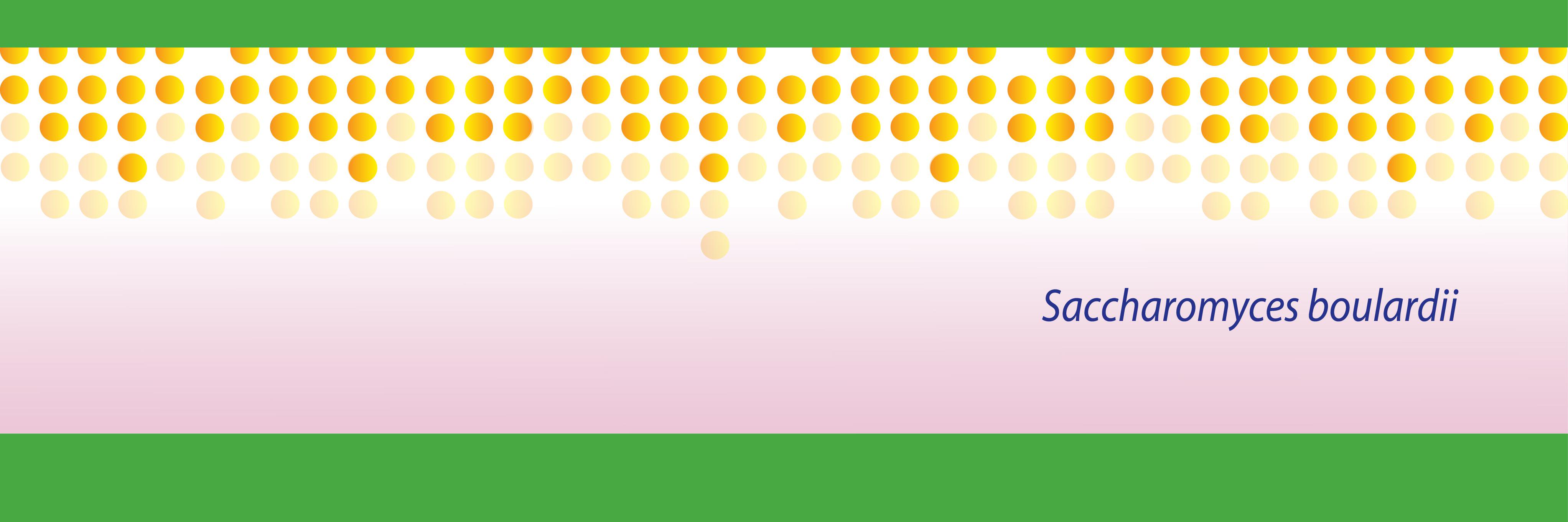 floratil_'s profile banner image
