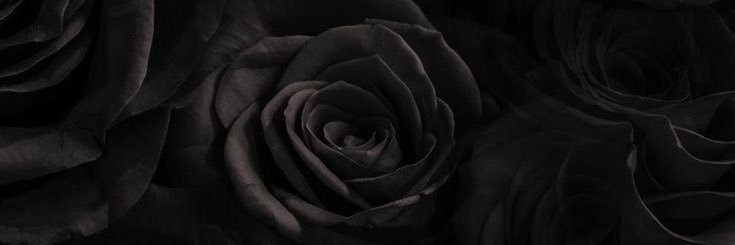 mbarr95's profile banner image