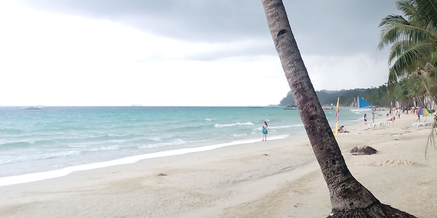 zukini85's profile banner image