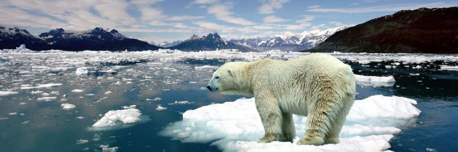 EARTH FIRST 🇺🇦 banner