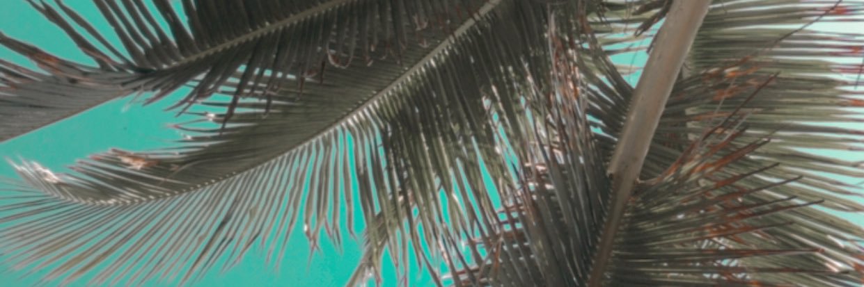 guajecr's profile banner image