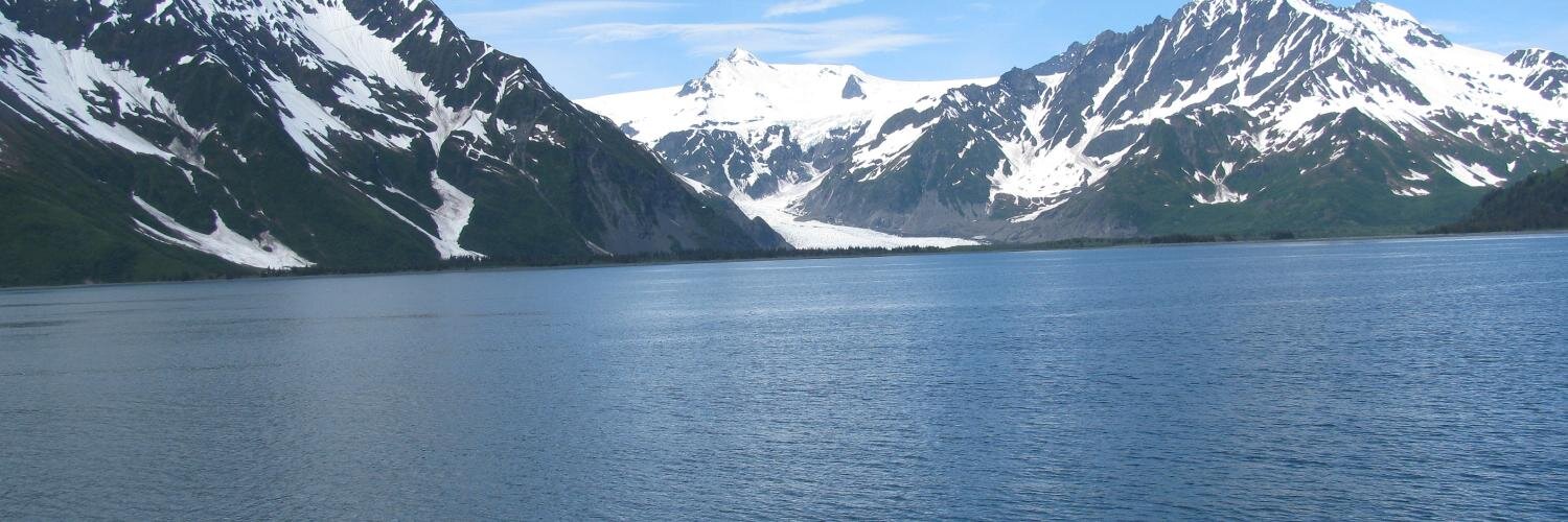 Donna Albertson banner