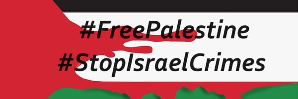 RodP13 Profile Banner