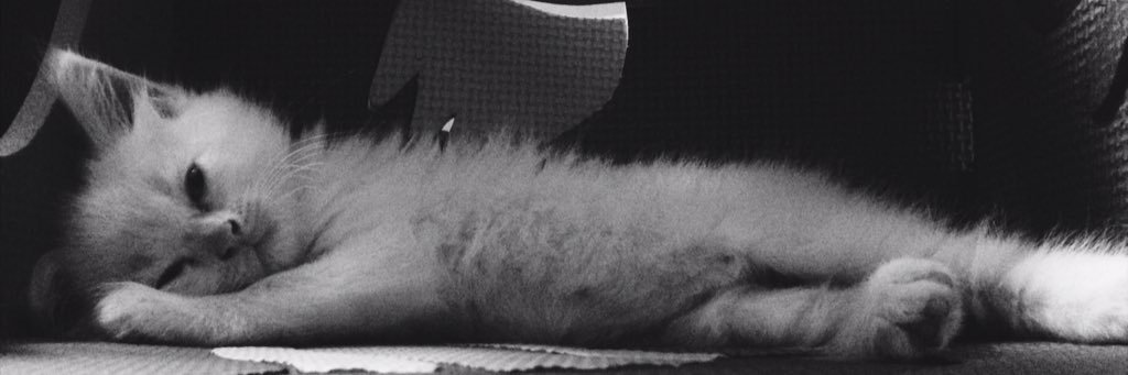 mrcds_shhh's profile banner image