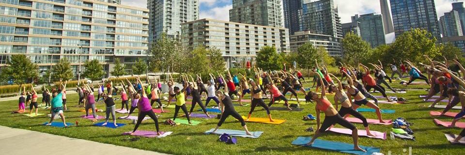 Heather Gardner banner