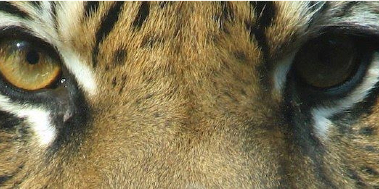 JDavidSudduth's profile banner image