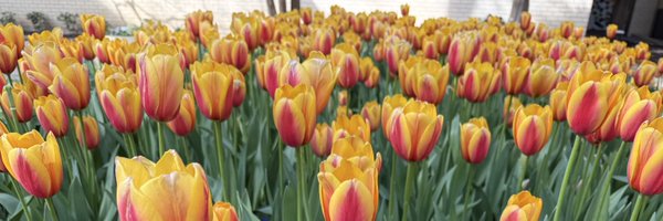 aimeezy_ Profile Banner