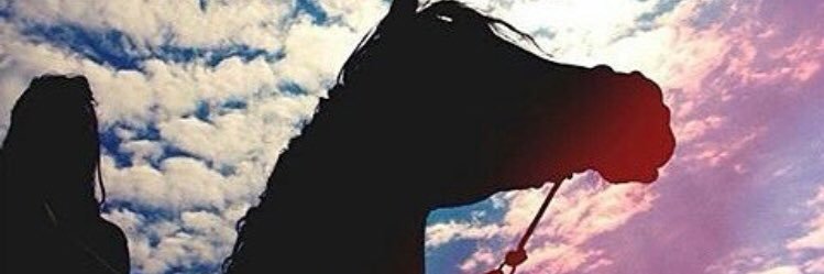 lina6616's profile banner image