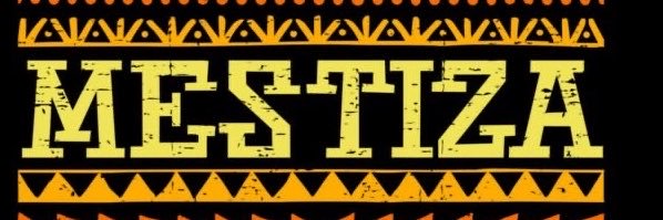 mestizaafro's profile banner image