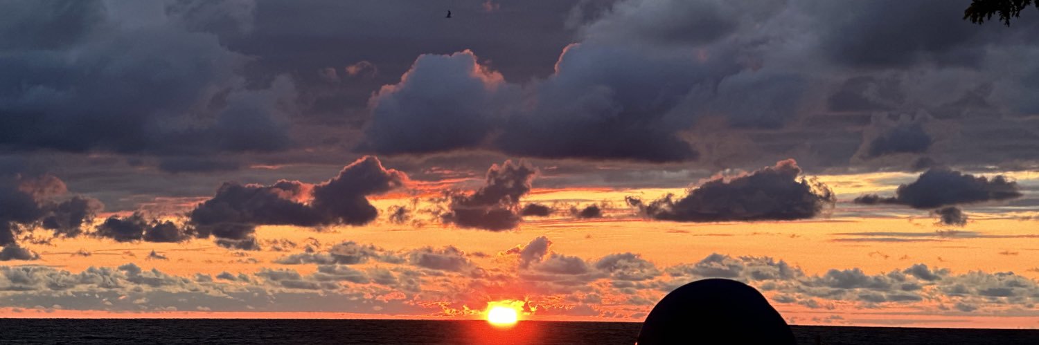 stephmoses96's profile banner image