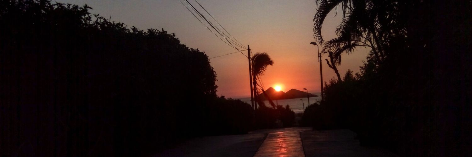 Carlos Ludgardo banner