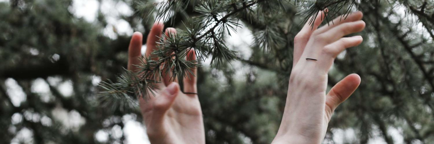 lisaverberght's profile banner image