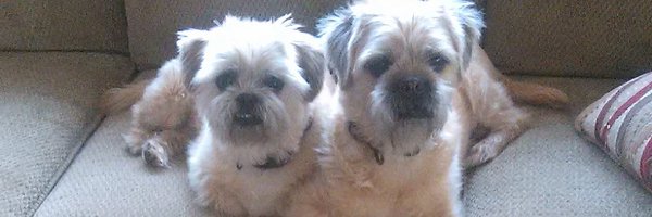 PamCarlson3 Profile Banner