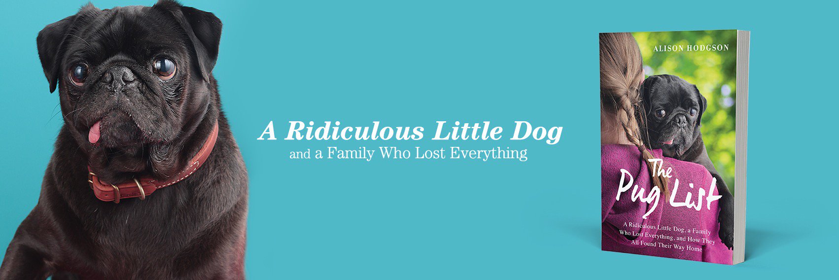 HodgsonAlison's profile banner image