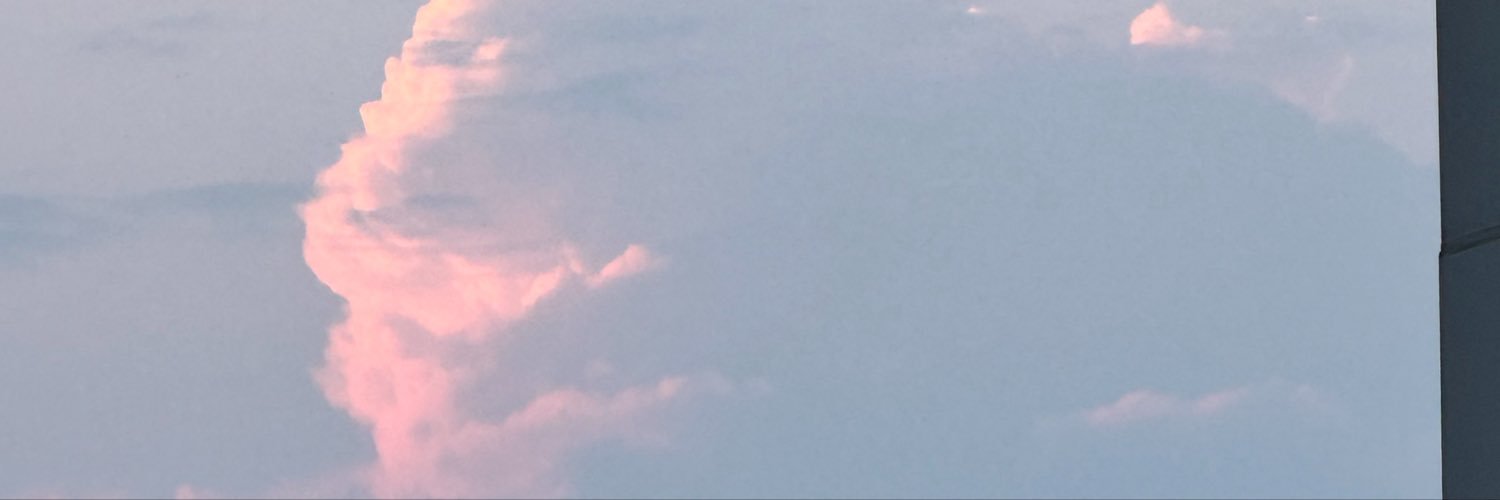 javieramex's profile banner image