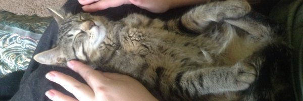 dskamper Profile Banner