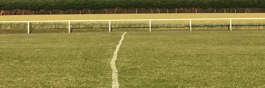 sgrimault1's profile banner image