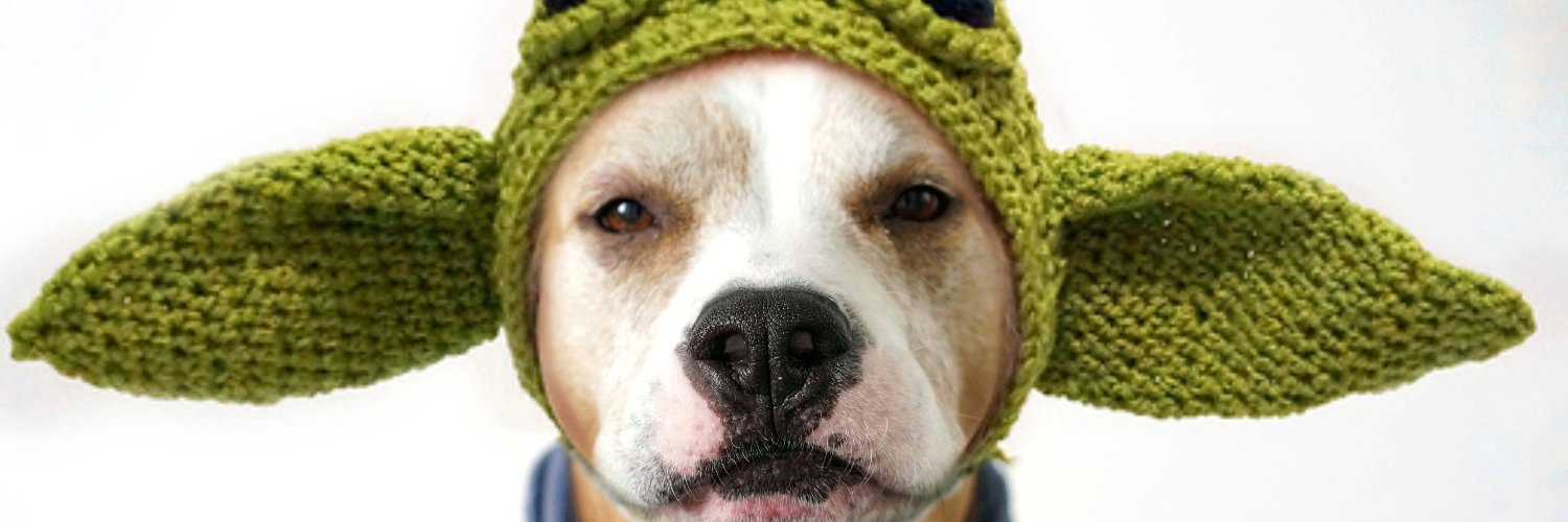 stepbystepatter's profile banner image