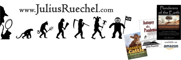 JuliusRuechel Profile Banner