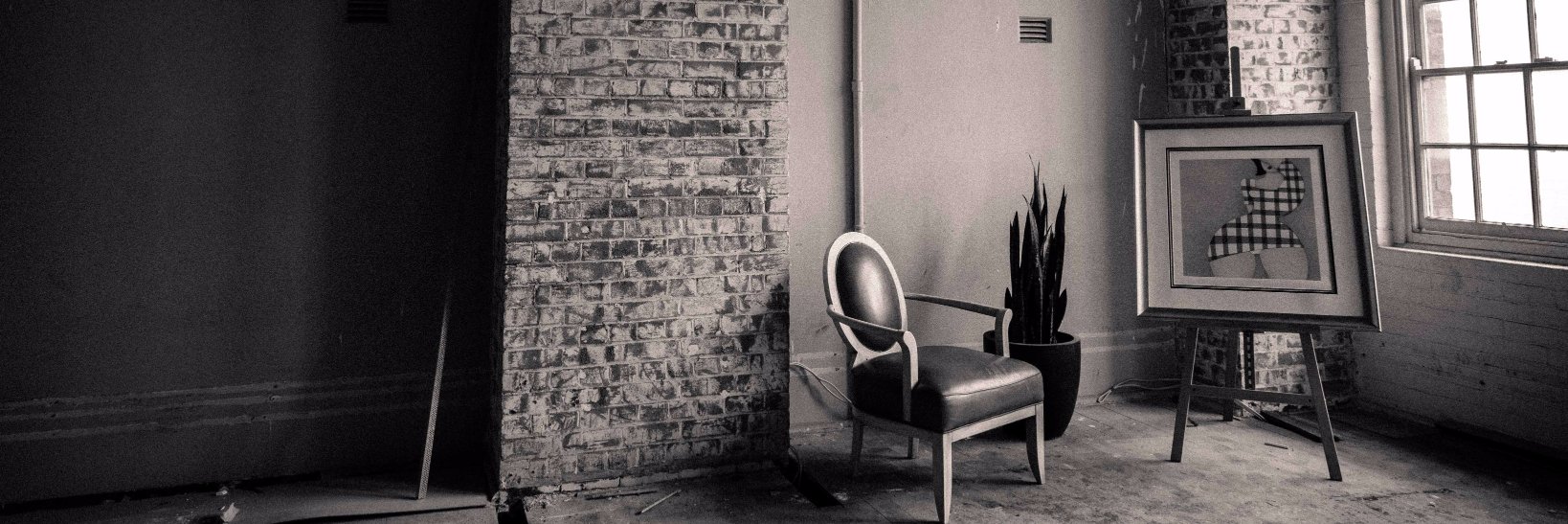 themuseandco's profile banner image