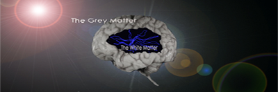 braininjryprdct's profile banner image