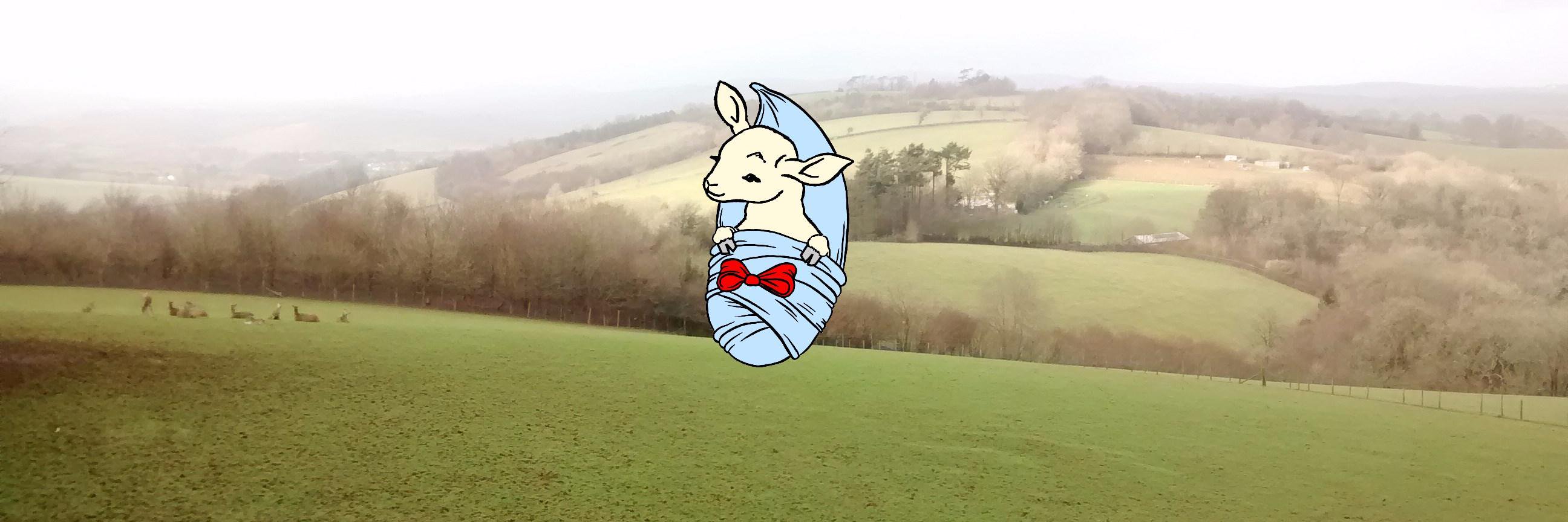 CosyGoat's profile banner image