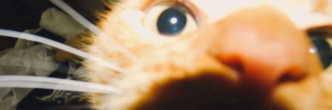 Pauasilvera's profile banner image
