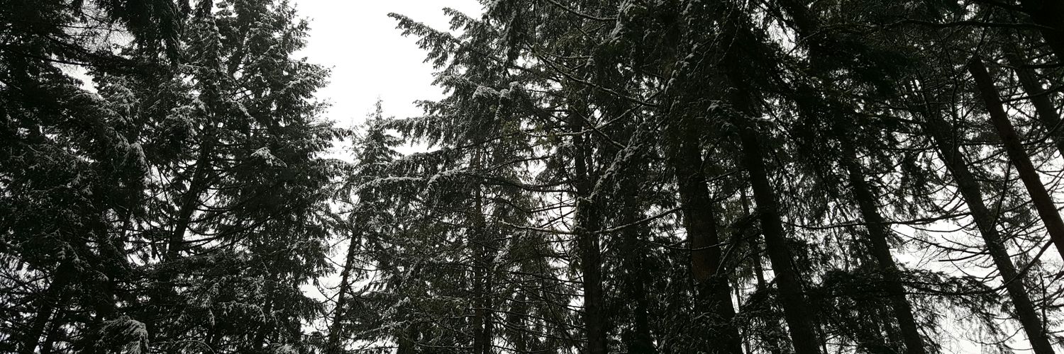 Squishy_Meme's profile banner image