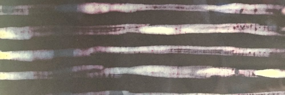 Emily Wickersham banner