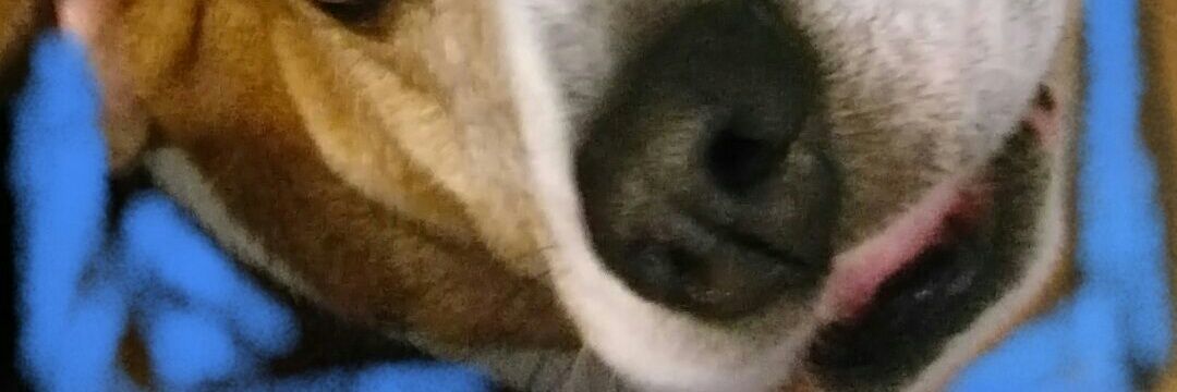 MZBizz5's profile banner image