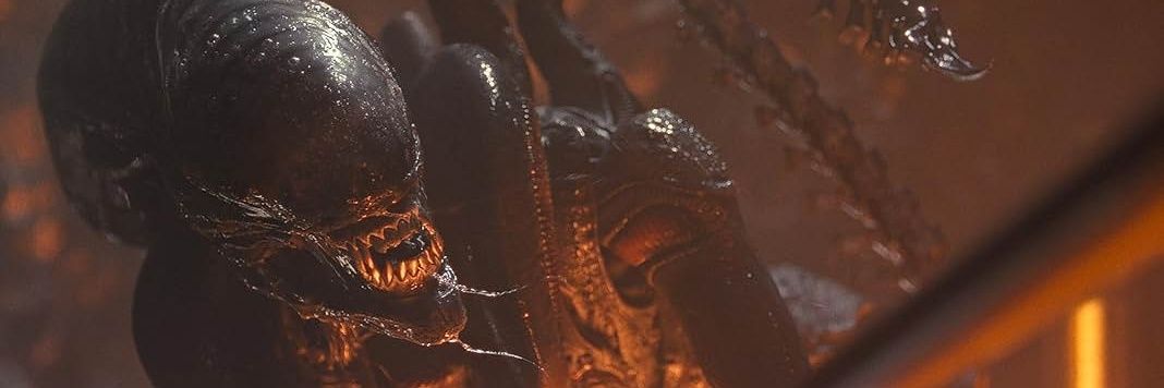 Bdelloideo's profile banner image