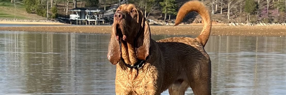 BCarper24's profile banner image