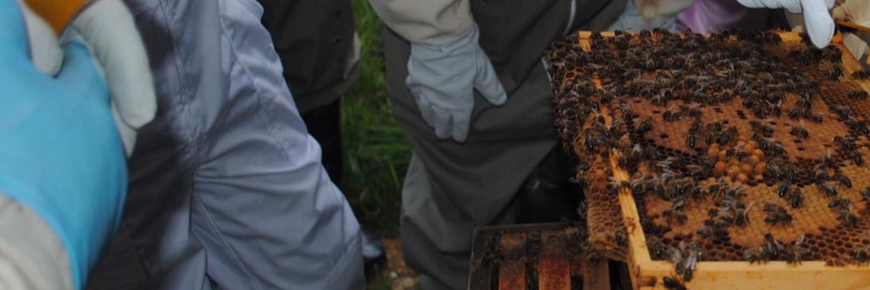 KillinchyBeekeepers banner