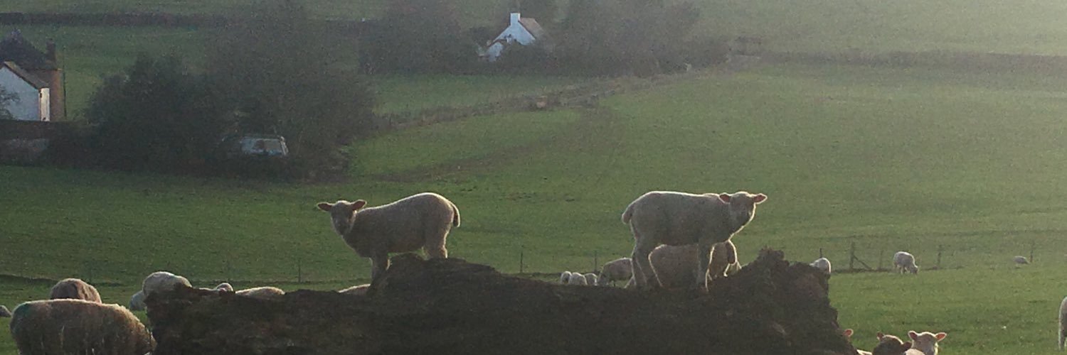 powderhamfarmer's profile banner image