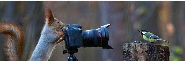 Jess Rohmann is on BlueSky and LinkedIn banner