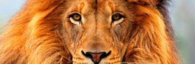 stiffler_k's profile banner image