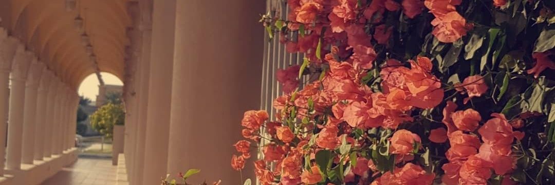 Saam2t's profile banner image