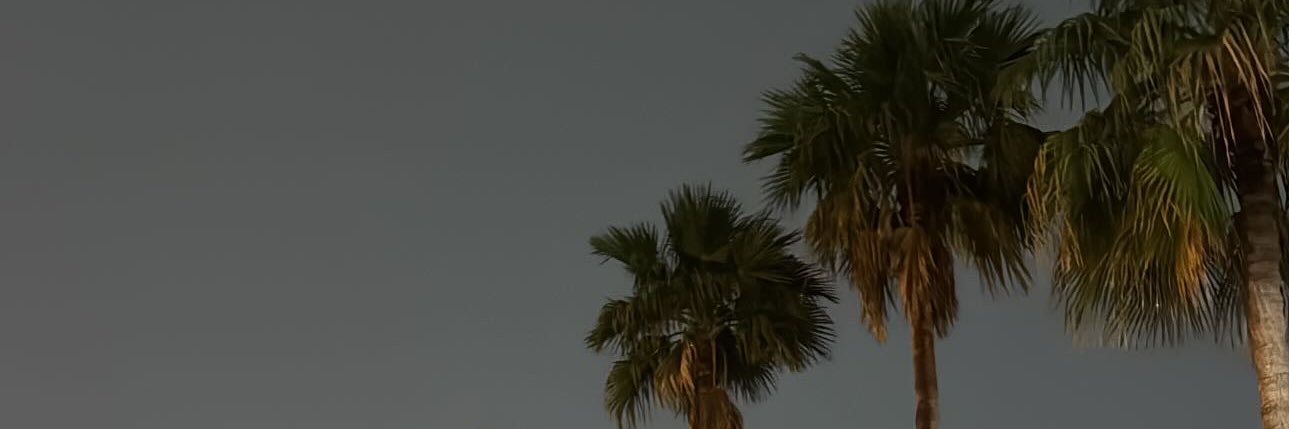 w5v's profile banner image